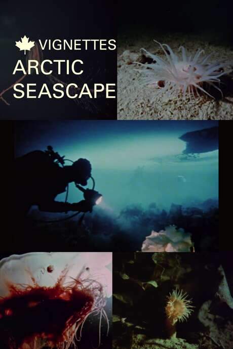 Canada Vignettes: Arctic Seascape